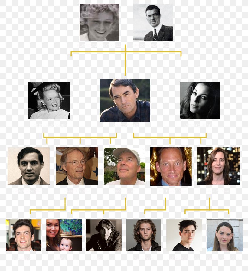 Family United States Shane Donovan Father Genealogy, PNG, 800x896px, Family, Cecilia Peck, Collage, Daughter, Father Download Free