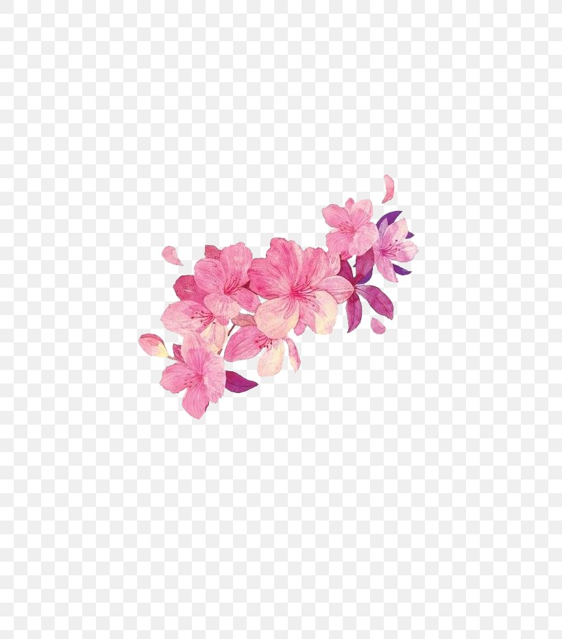 Flower Watercolor Painting, PNG, 658x933px, Flower, Blossom, Cherry Blossom, Flowering Plant, Free Software Download Free