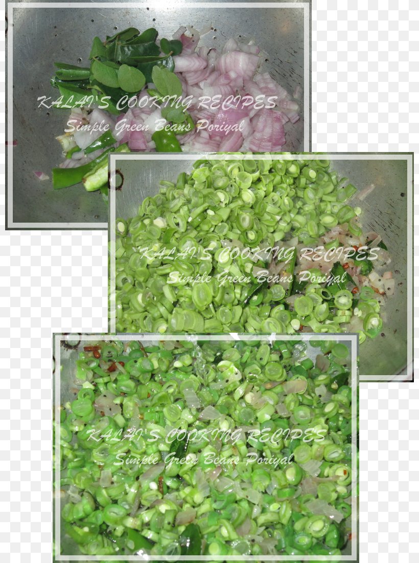 Herb Groundcover Lawn Shrub, PNG, 800x1100px, Herb, Grass, Groundcover, Lawn, Leaf Vegetable Download Free