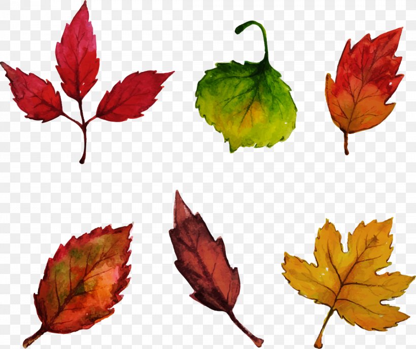 Leaf Watercolor Painting Drawing Euclidean Vector, PNG, 1148x964px, 2d Computer Graphics, Autumn Leaves, Autumn, Deciduous, Drawing Download Free