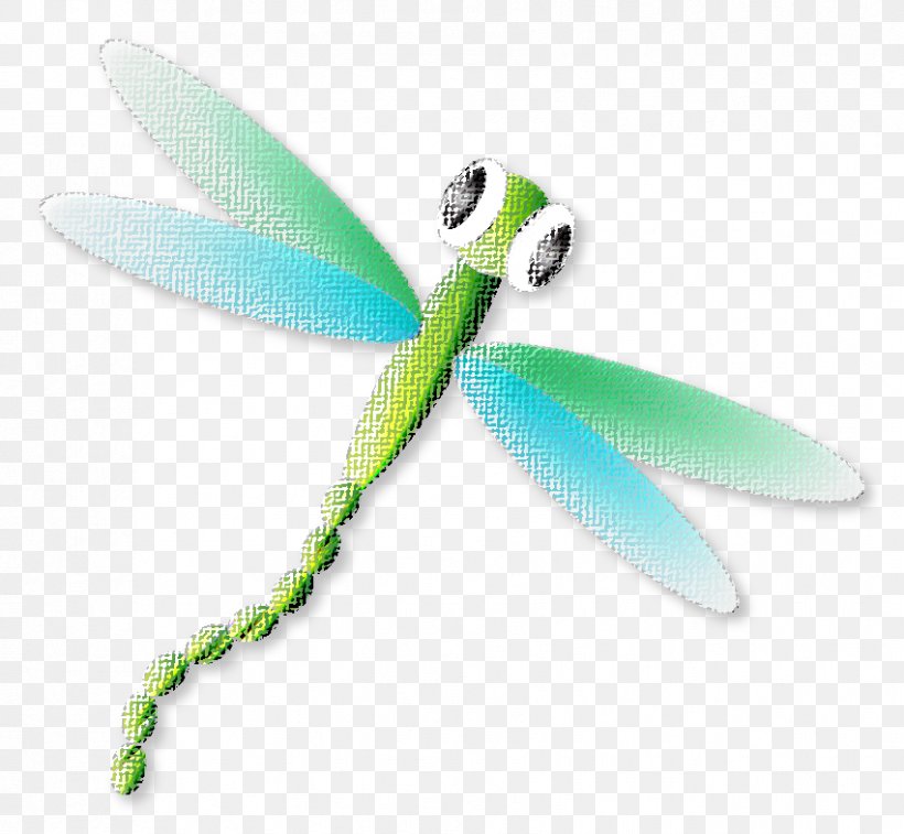 Logo Symbol Blue Green, PNG, 851x786px, Logo, Blue, Bluegreen, Dragonflies And Damseflies, Dragonfly Download Free