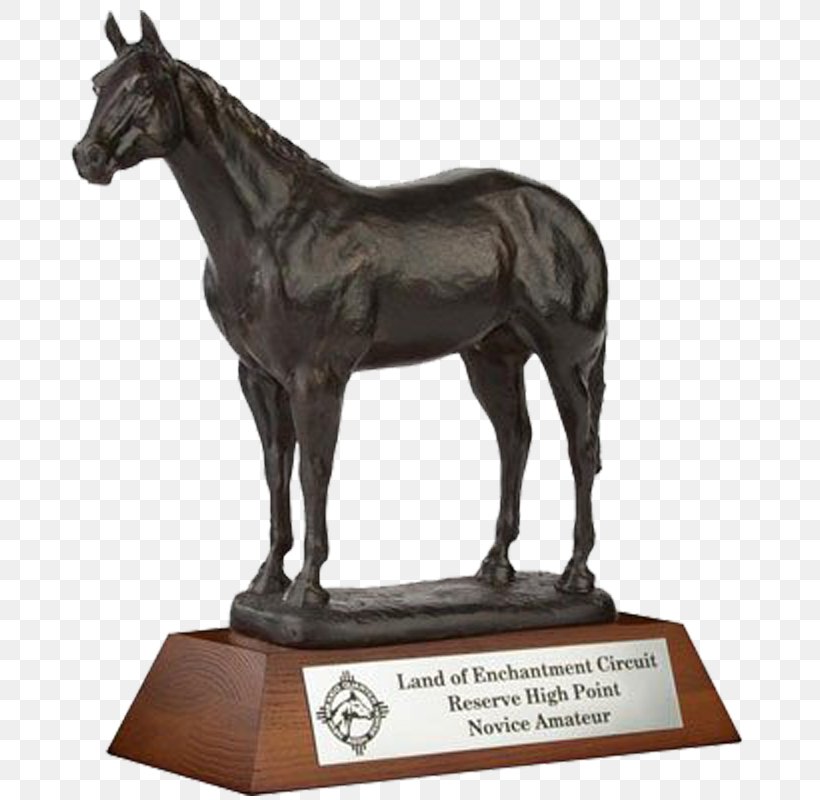 Stallion Shire Horse Baloubet Du Rouet Akhal-Teke Mare, PNG, 800x800px, Stallion, Akhalteke, Award, Bay, Bronze Download Free