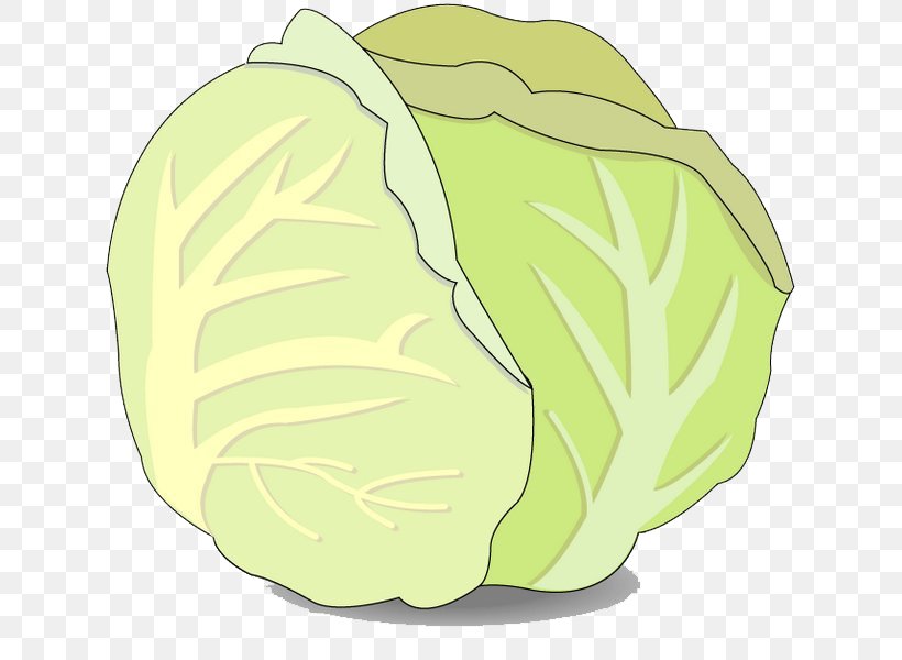 Cabbage Chemical Element Clip Art, PNG, 627x600px, Cabbage, Cartoon, Chemical Element, Flower, Food Download Free