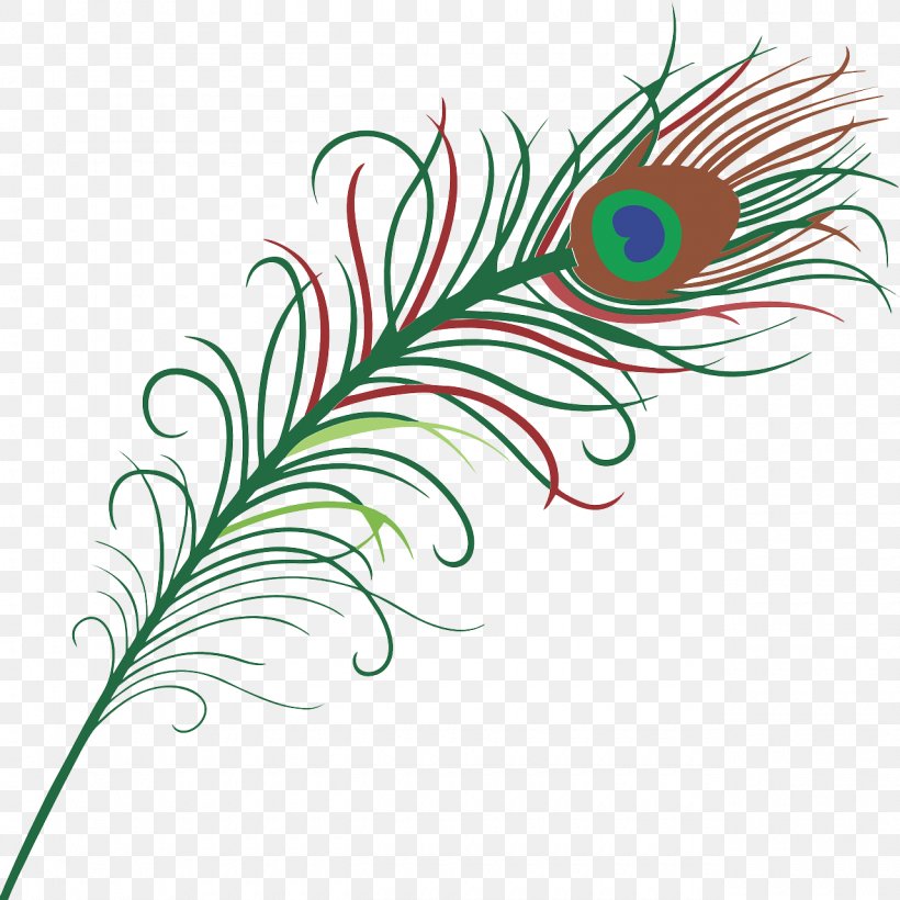 Feather Pavo Clip Art, PNG, 1280x1280px, Feather, Asiatic Peafowl, Drawing, Flora, Flower Download Free