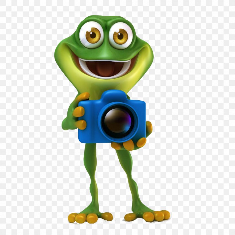 Frog Stock Photography Royalty-free Illustration, PNG, 1000x1000px, Frog, Amphibian, Art, Camera, Cartoon Download Free