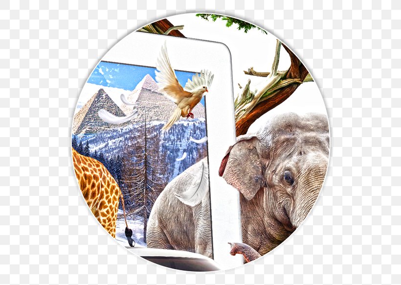 Indian Elephant Wildlife Fauna Elephantidae, PNG, 600x582px, Indian Elephant, Elephant, Elephantidae, Elephants And Mammoths, Fauna Download Free