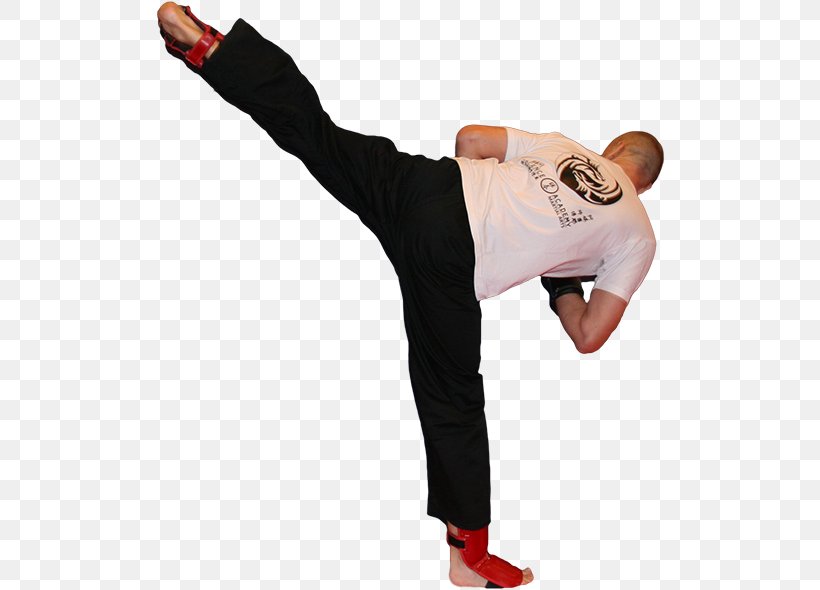 Kickboxing Sanshou Wing Chun Boxing Glove Kolding, PNG, 511x590px, Kickboxing, Arm, Boxing, Boxing Glove, Hand Download Free
