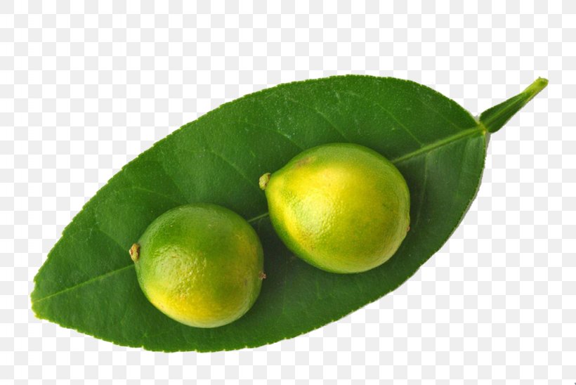 Lemon Key Lime Juice Persian Lime, PNG, 1024x685px, Lemon, Avocado, Calamondin, Citric Acid, Citron Download Free