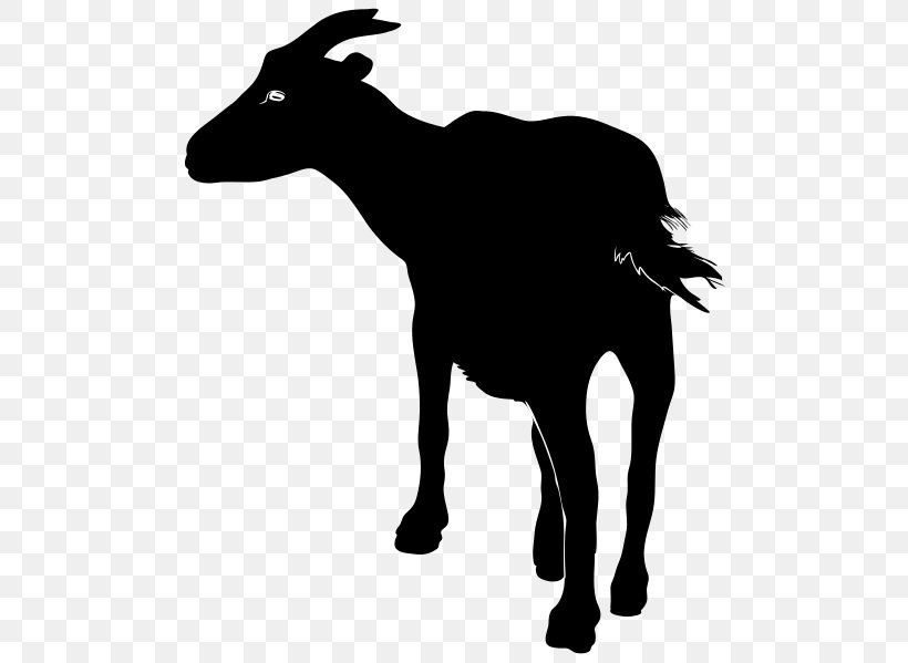 Anglo-Nubian Goat Boer Goat Nigerian Dwarf Goat Pygmy Goat, PNG, 506x599px, Anglonubian Goat, Autocad Dxf, Black And White, Boer Goat, Cattle Like Mammal Download Free