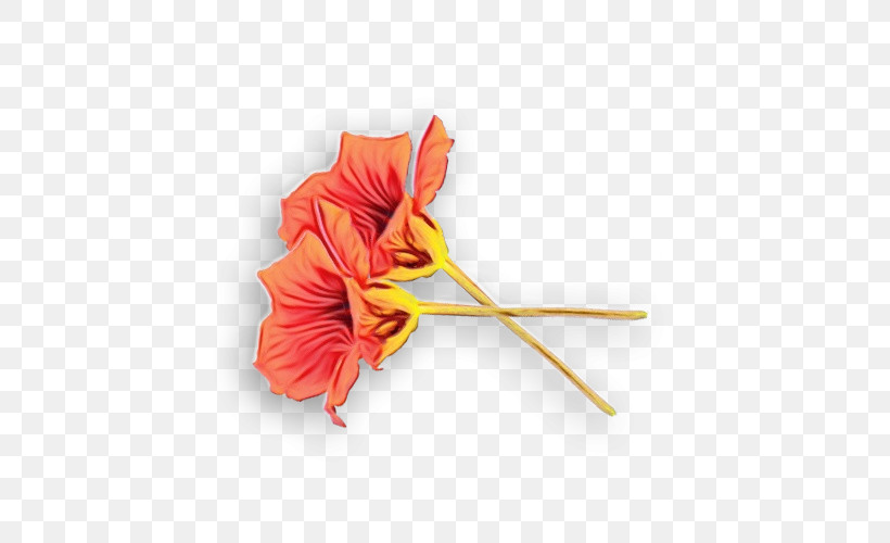 Orange, PNG, 500x500px, Watercolor, Biology, Cut Flowers, Flower, Orange Download Free