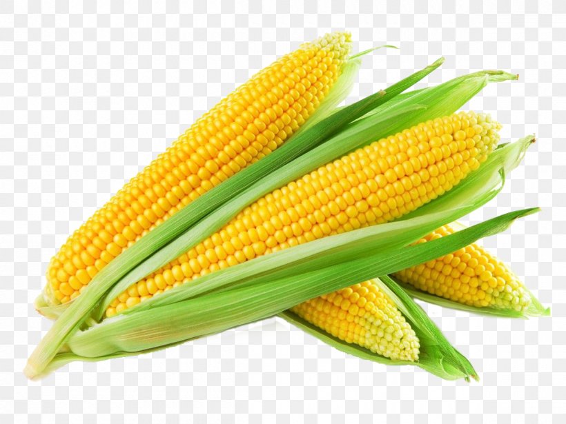 Sweet Corn Maize Corn Kernel Cereal Grain, PNG, 1200x900px, Sweet Corn, Baby Corn, Cereal, Commodity, Corn Kernel Download Free