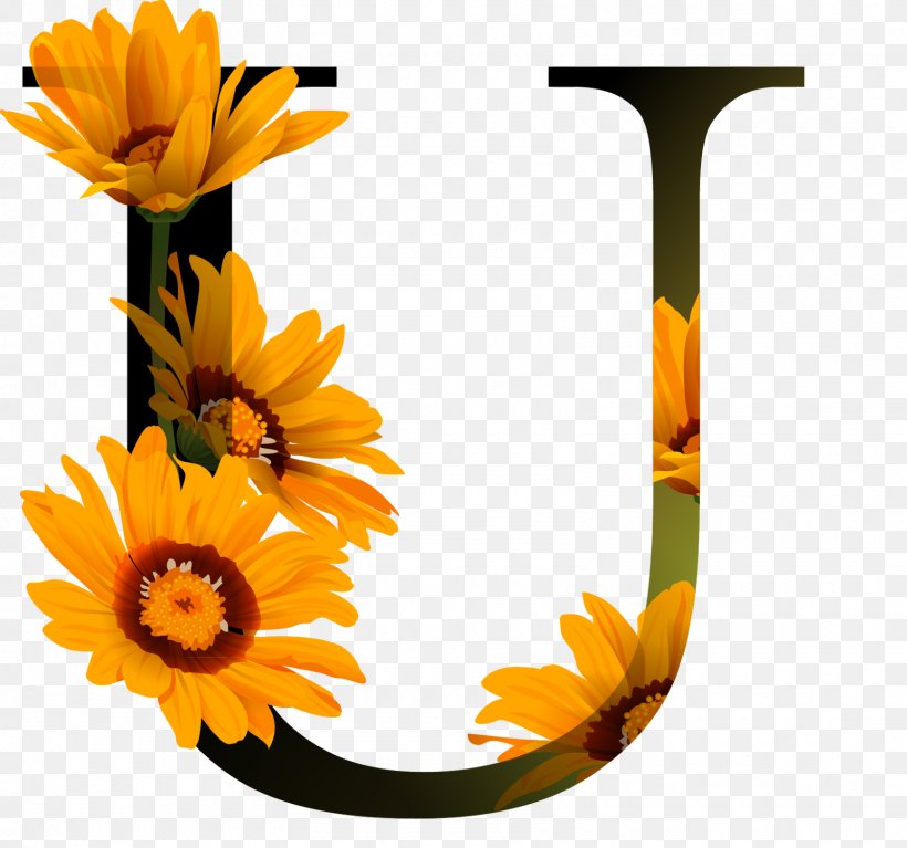 Vector Graphics Alphabet Letter Image Design, PNG, 1600x1498px, Alphabet, Art, Calendula, Daisy, Daisy Family Download Free