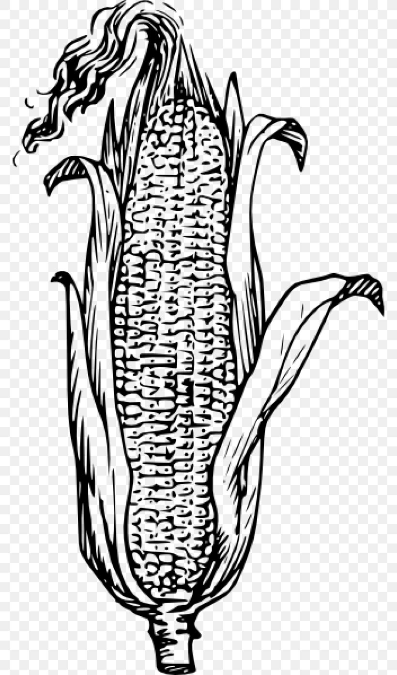Book Black And White, PNG, 768x1391px, Corn On The Cob, Coloring Book, Corn, Corncob, Drawing Download Free