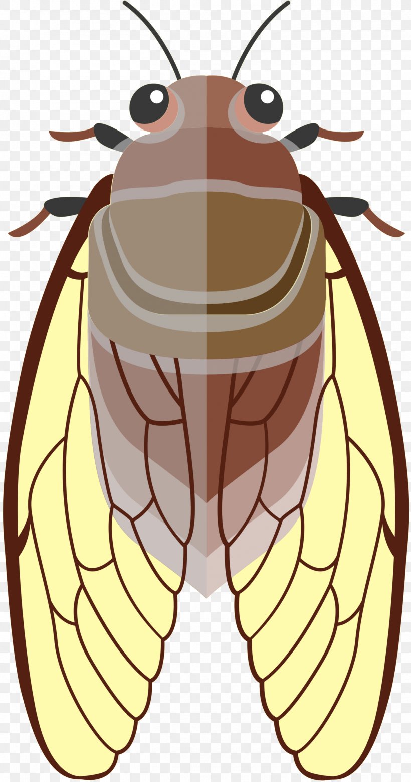 Honey Bee Clip Art Illustration Insect, PNG, 1414x2687px, Honey Bee, Animal Figure, Arthropod, Bee, Bug Download Free
