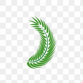 Palm Leaf Green Vector Decoration - Leaf Arecaceae Euclidean Vector PNG