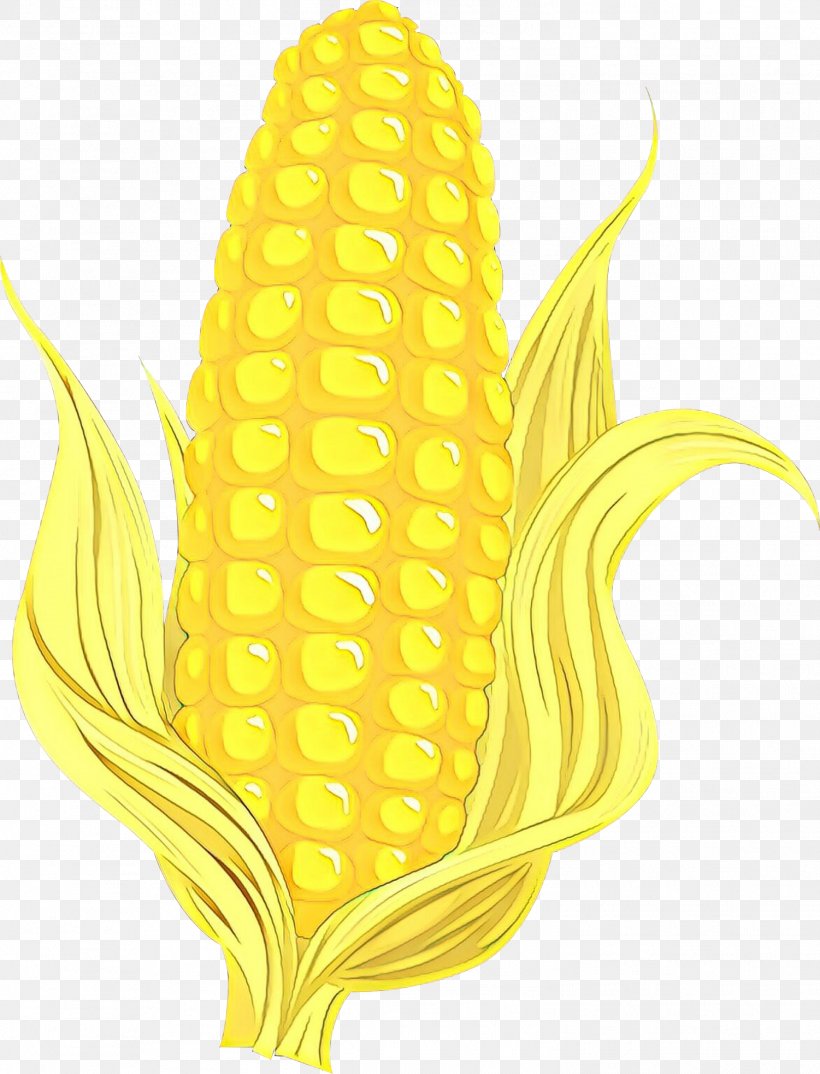 Corn On The Cob Corn Yellow Sweet Corn Plant, PNG, 1501x1966px, Cartoon, Corn, Corn Kernels, Corn On The Cob, Plant Download Free