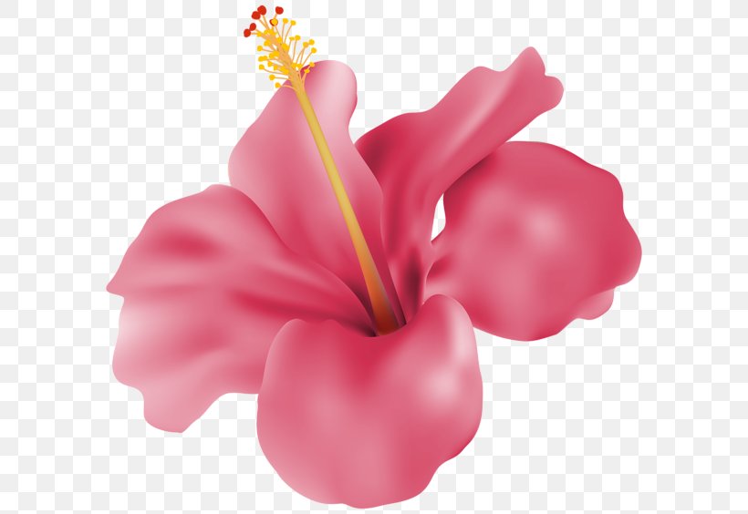Cut Flowers Rose Petal Flower Bouquet, PNG, 600x564px, Flower, Anthurium, Artificial Flower, Cut Flowers, Floristry Download Free