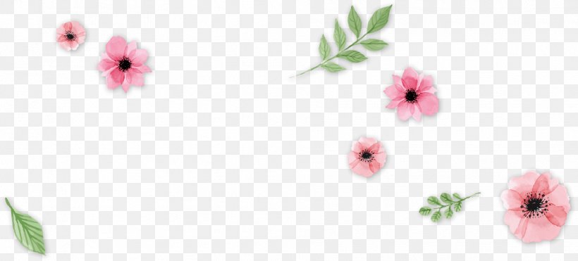 Floral Design Cut Flowers Petal Flowering Plant, PNG, 1916x868px, Floral Design, Blossom, Cut Flowers, Flora, Floristry Download Free
