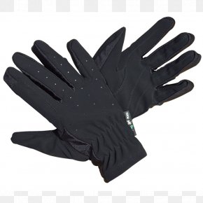 Horse - Horse Glove Equestrian Reithandschuh Leather PNG