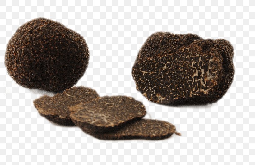 Périgord Black Truffle Piedmont White Truffle Alba Fungus, PNG, 800x531px, Piedmont White Truffle, Alba, Common Hazel, English Oak, Food Download Free