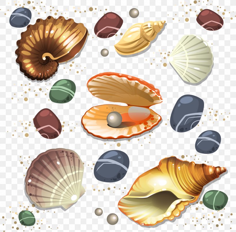 Seashell Conch, PNG, 2694x2654px, Seashell, Clams Oysters Mussels And Scallops, Cockle, Conch, Conchology Download Free