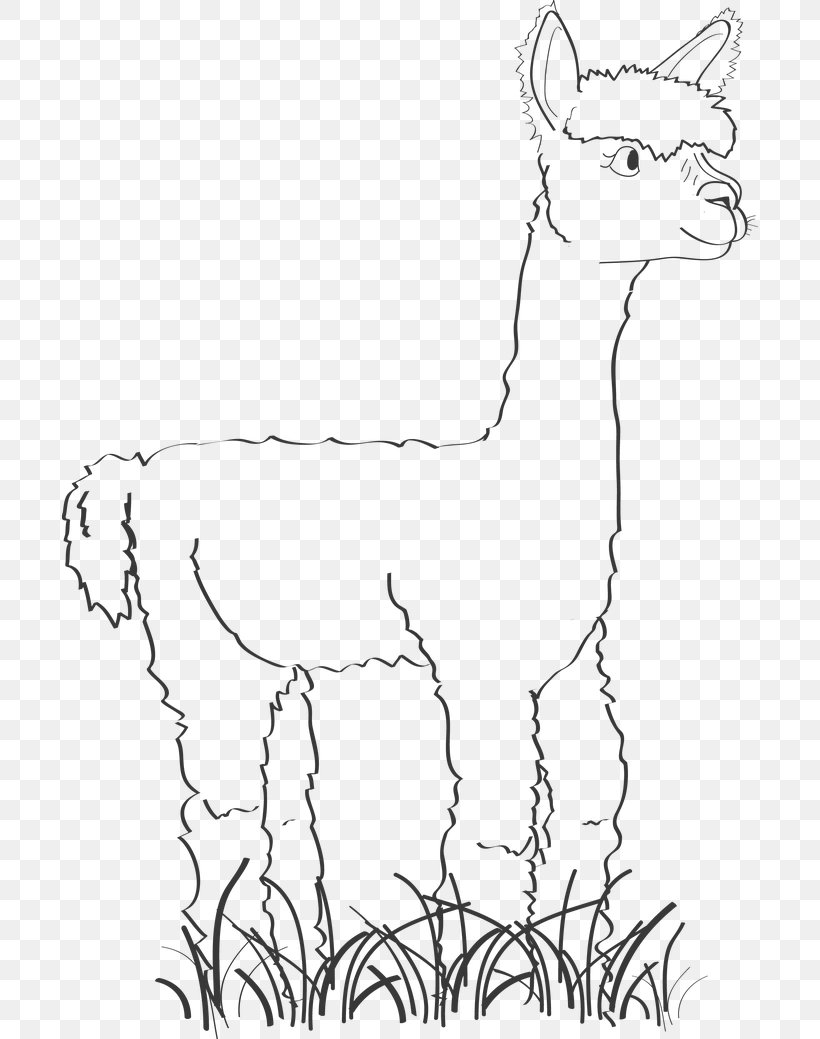 Alpaca Llama Drawing Image Cartoon, PNG, 696x1039px, Alpaca, Animal Figure, Artwork, Beak, Black And White Download Free