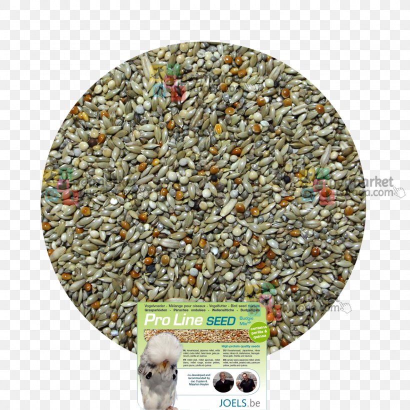 Budgerigar Bird Food Seed Fodder, PNG, 1280x1280px, Budgerigar, Bird Food, Brand, Commodity, Egg Download Free