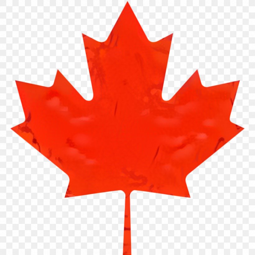 Canada Maple Leaf, PNG, 900x900px, Maple Leaf, Black Maple, Canada, Canadian Gold Maple Leaf, Coquelicot Download Free
