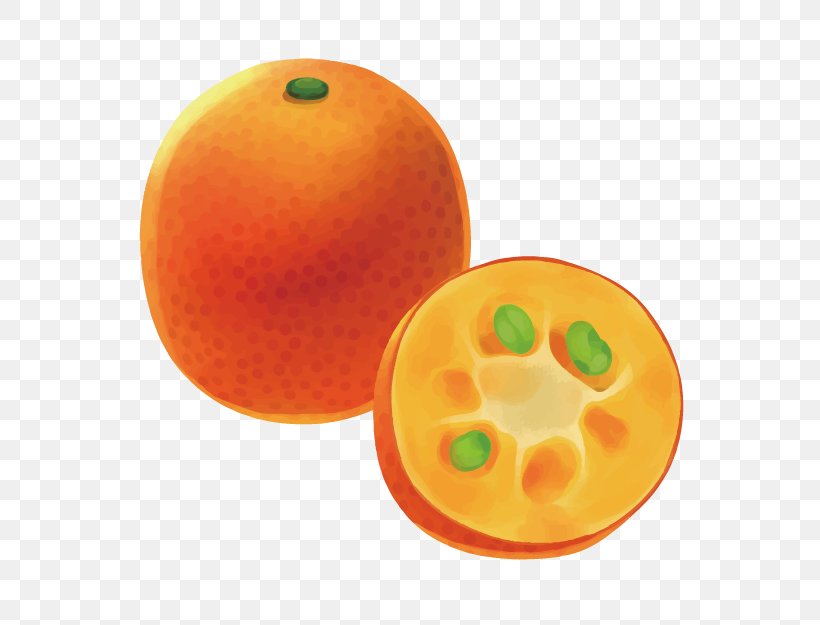 Orange 3D Computer Graphics Fruit, PNG, 624x625px, 3d Computer Graphics, Orange, Animation, Auglis, Cartoon Download Free