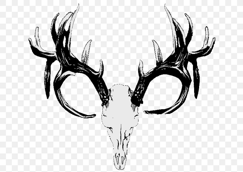 Red Deer Hunting White-tailed Deer Skull, PNG, 647x583px, Red Deer, Antler, Black And White, Bone, Deer Download Free