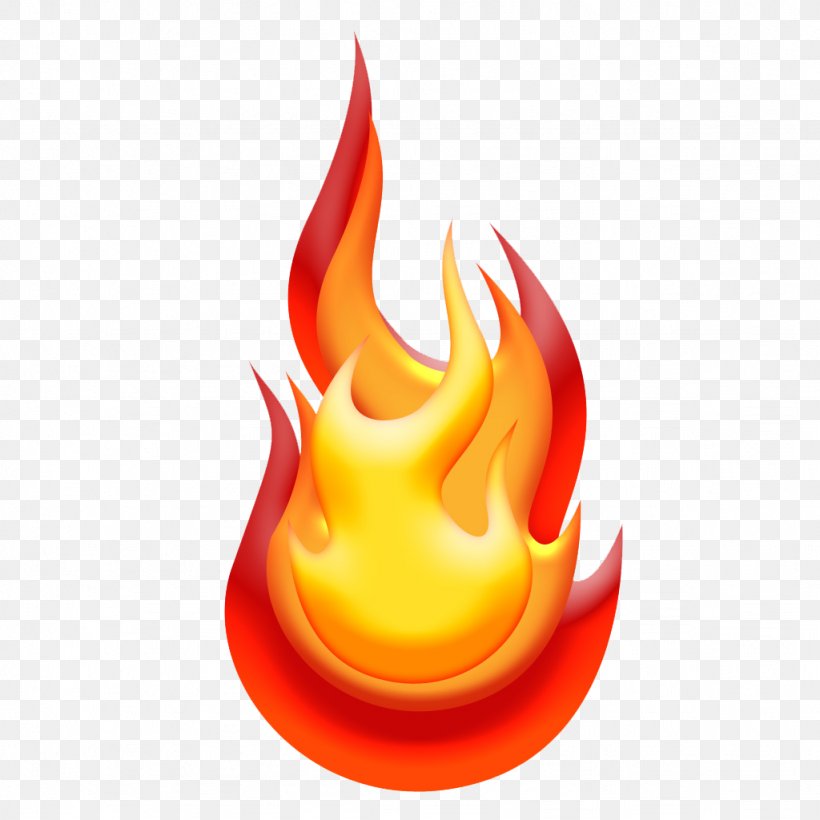 Download Clip Art, PNG, 1024x1024px, Fire, Document, Flame, Ifwe, Orange Download Free