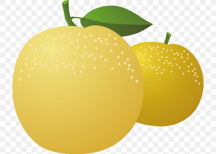 Lemon Asian Pear, PNG, 726x586px, Lemon, Apple, Asian Pear, Citric Acid, Citron Download Free