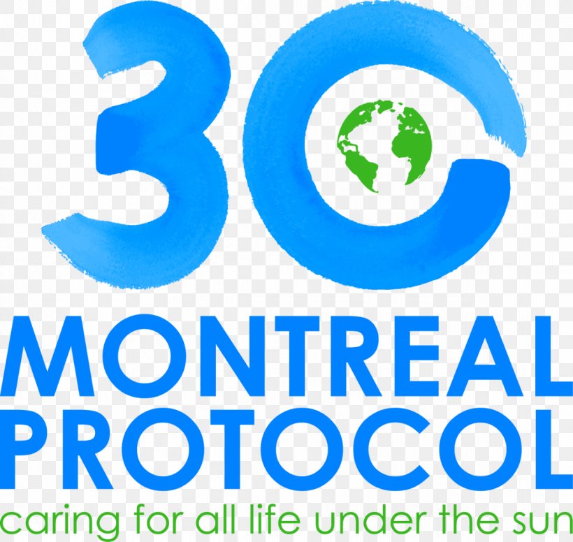 Montreal Protocol International Day For The Preservation Of The Ozone Layer, PNG, 1200x1137px, Montreal, Area, Brand, Conference Of The Parties, Kyoto Protocol Download Free