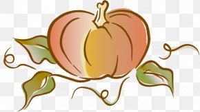Pumpkin - Pumpkin Cucurbita Pepo Pepo Vegetable Clip Art PNG