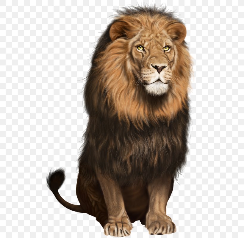 Lion Clip Art Transparency Image, PNG, 516x800px, Lion, Animal Figure, Big Cats, Carnivore, Document Download Free