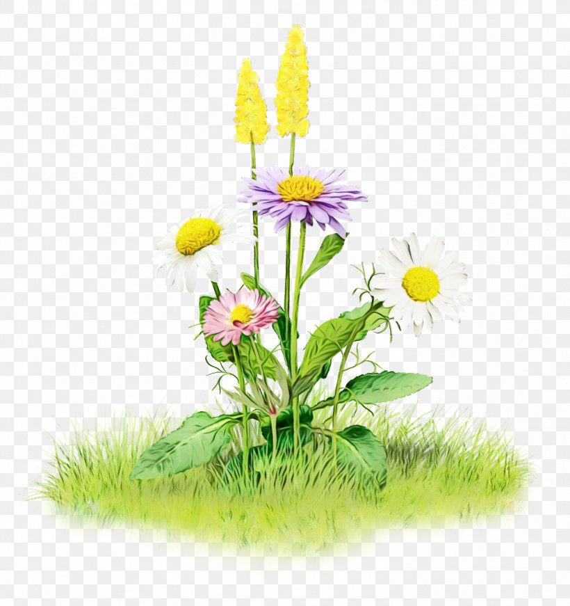 Clip Art Desktop Wallpaper Image Flower, PNG, 1412x1500px, Flower, Botany, Daisy, Daisy Family, Drawing Download Free