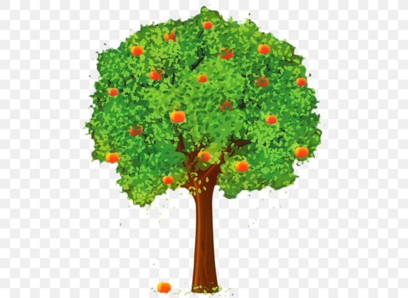 Apple Tree, PNG, 501x600px, Apple, Branch, Clausena Lansium, Flower, Flowerpot Download Free