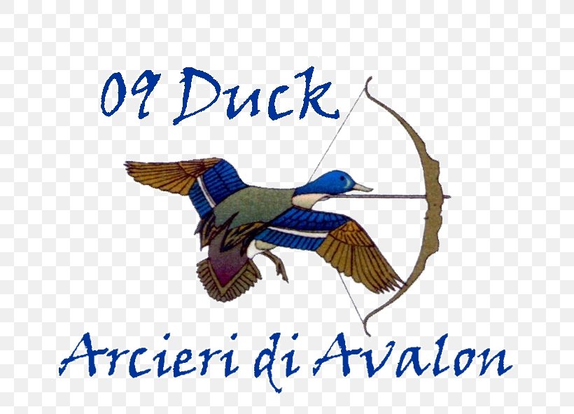Federazione Italiana Arcieri Tiro Di Campagna Duck ASD Arcieri Di Avalon Beak Goose, PNG, 768x591px, Duck, Anatidae, Archer, Artwork, Beak Download Free
