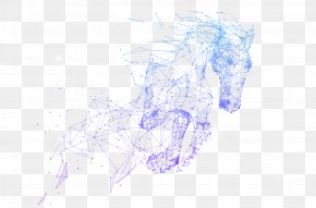 Equus Map - Illustration Malaysia Sketch Drawing Praxis Equusworld Jasmin Hochfeld PNG