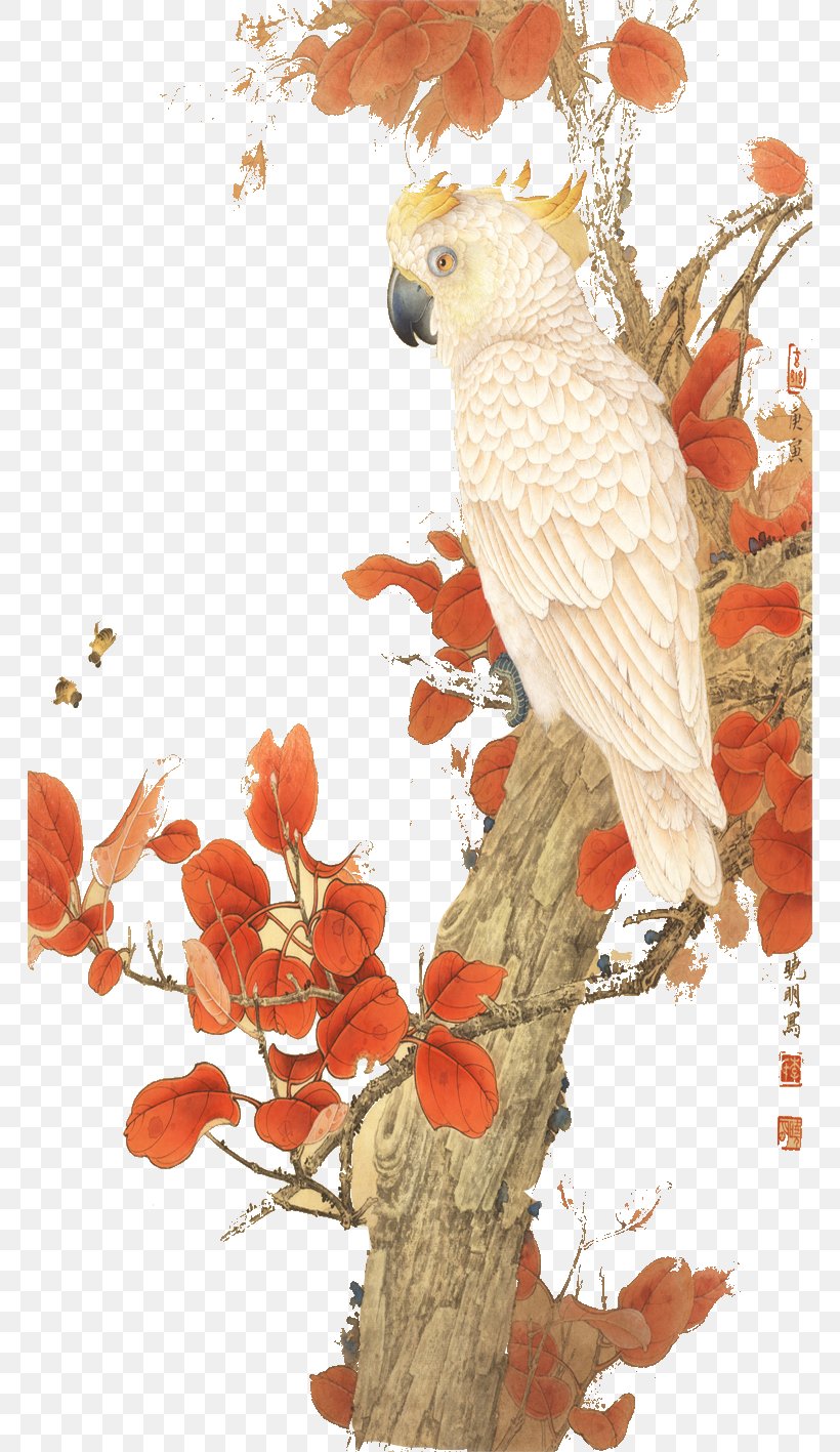 Parrot Illustration, PNG, 766x1417px, Parrot, Art, Beak, Bird, Bird Of Prey Download Free