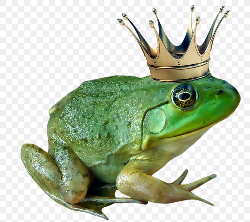 The Frog Prince Tiana American Bullfrog, PNG, 800x728px, Frog Prince, American Bullfrog, Amphibian, Anika Noni Rose, Bullfrog Download Free