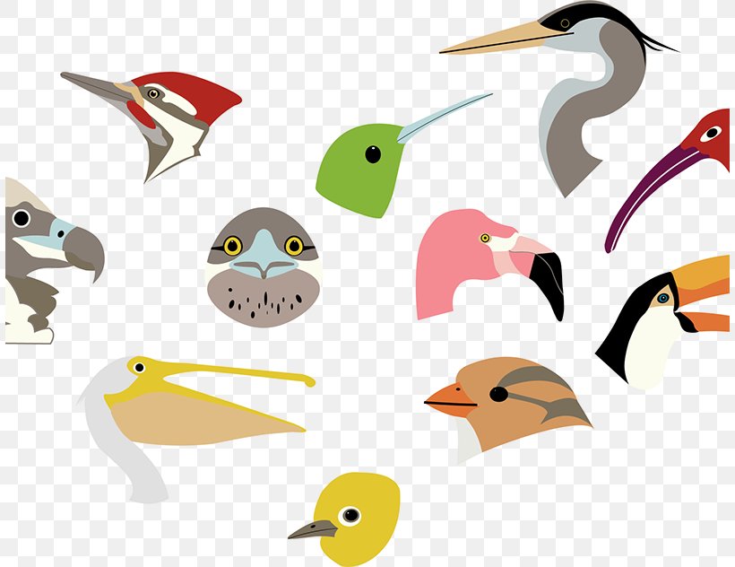 Watercolor Animal, PNG, 808x632px, Beak, Animal Figure, Bird, Bismarckia, Colorado Download Free