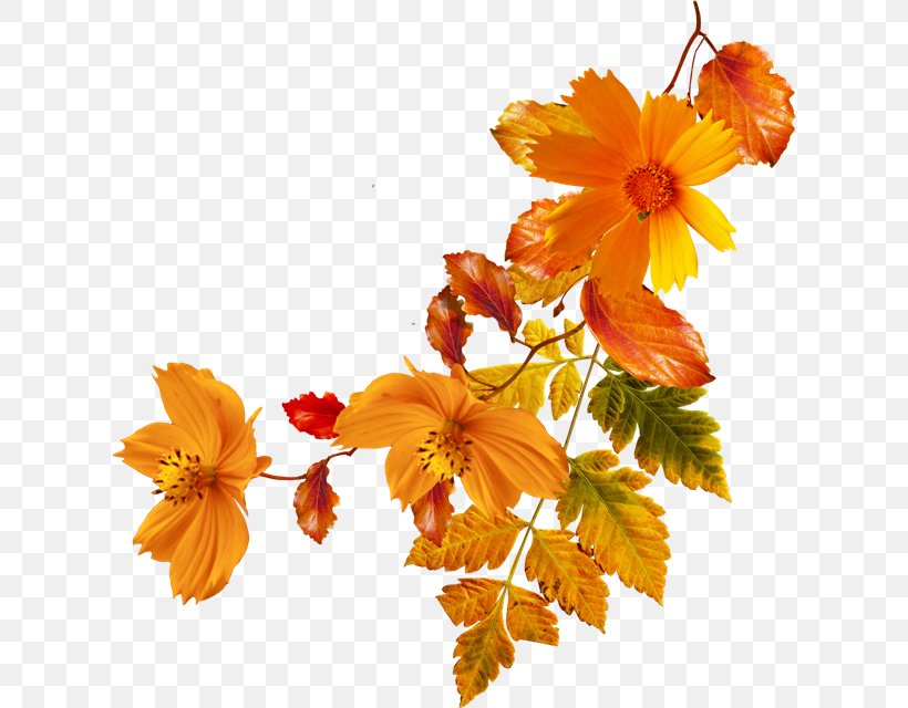 Autumn Clip Art, PNG, 618x640px, Autumn, Branch, Cut Flowers, Depositfiles, Digital Image Download Free