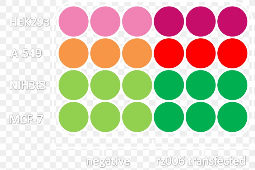 Circle Amazon.com Stock Photography, PNG, 1328x883px, Amazoncom, Geometry, Green, Inscribed Angle, Magenta Download Free