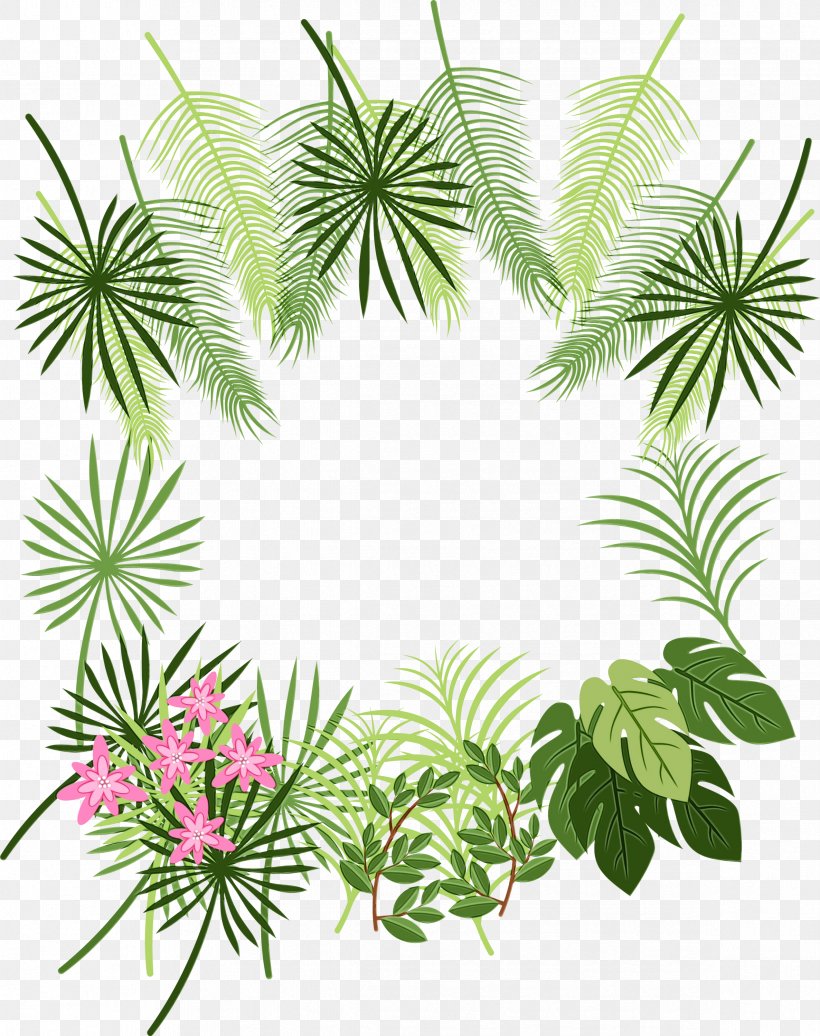 Palm Tree Background, PNG, 2373x3000px, Palm Trees, Arecales, Branch, Elaeis, Evergreen Download Free