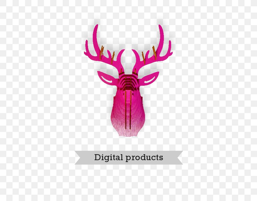 Red Deer Antler Furniture Reindeer, PNG, 640x640px, Deer, Animal, Antler, Computer Software, Couch Download Free