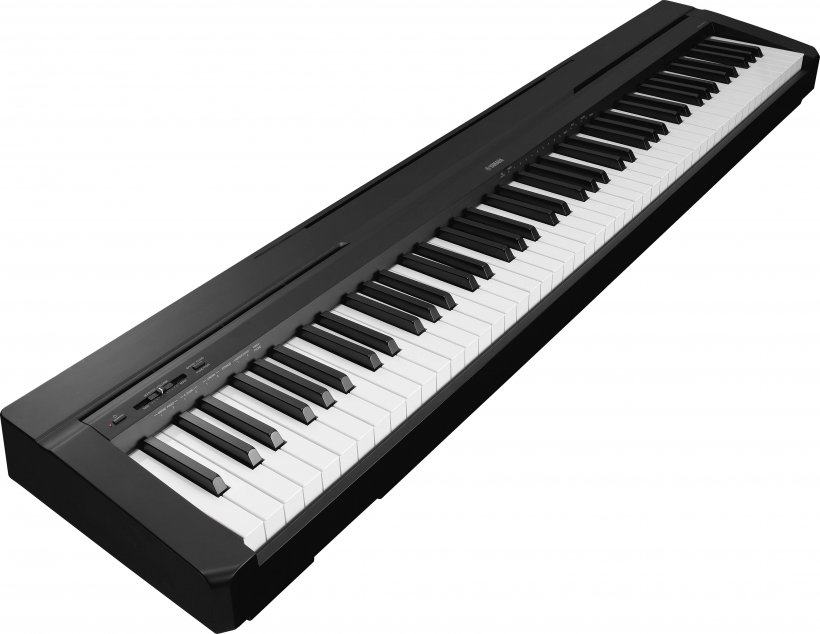 Yamaha P-115 Digital Piano Keyboard Yamaha Corporation, PNG, 3504x2712px, Watercolor, Cartoon, Flower, Frame, Heart Download Free