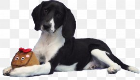 Willy - Dog Breed Puppy CHS Inc. Internet PNG