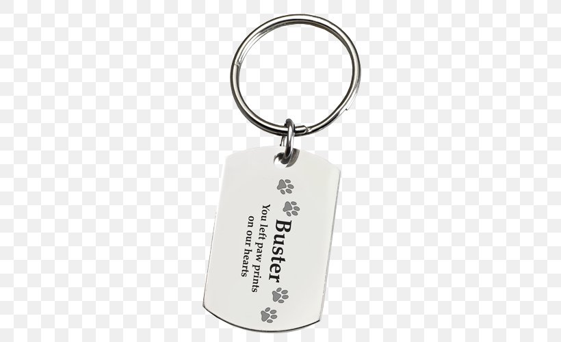 Key Chains, PNG, 500x500px, Key Chains, Fashion Accessory, Keychain Download Free