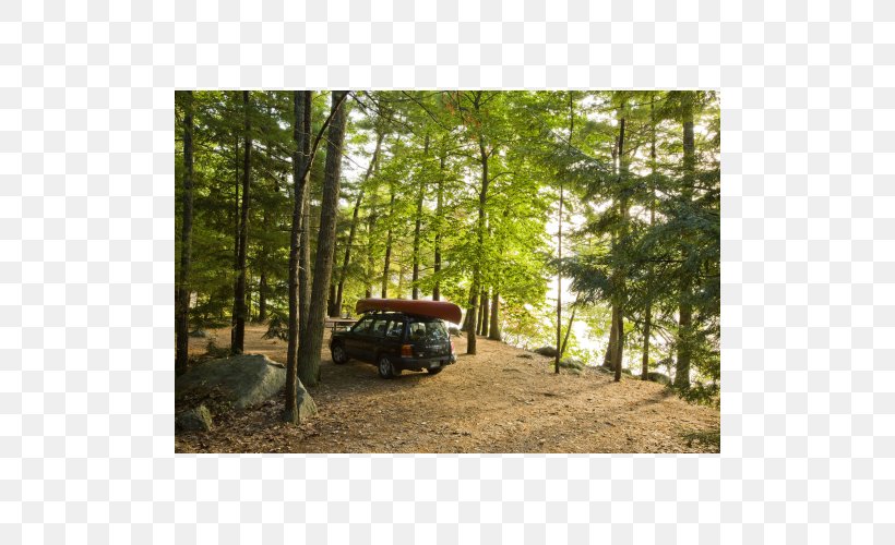 Nickerson State Park Savoy Mountain State Forest Ouachita Mountains Campsite Camping, PNG, 500x500px, Ouachita Mountains, Automotive Exterior, Camping, Campsite, Car Download Free